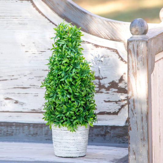 Park Hill Collection Mountain Savory Cone Topiary Medium