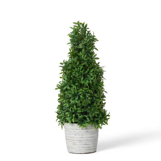 Park Hill Collection Mountain Savory Cone Topiary Medium