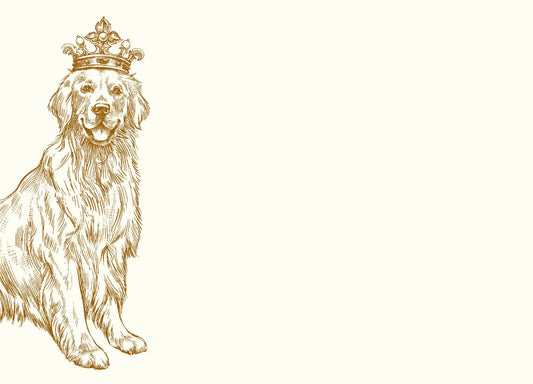 Royal Golden Retriever A6 Notes